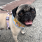 Lucy